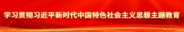 精点操大逼蜜桃视频学习贯彻习近平新时代中国特色社会主义思想主题教育